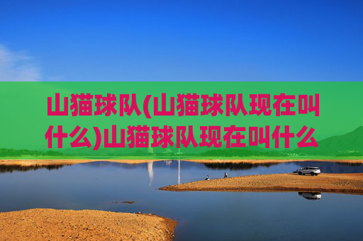 山猫球队(山猫球队现在叫什么)山猫球队现在叫什么（现役队名更新说明）