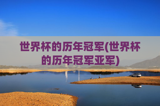 世界杯的历年冠军(世界杯的历年冠军亚军)