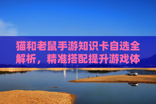 猫和老鼠手游知识卡自选全解析，精准搭配提升游戏体验，成为战术大师，猫和老鼠手游知识卡自选全解析，精准搭配技巧，助你成为战术大师