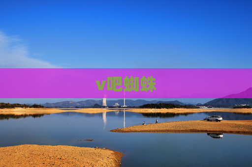v吧蜘蛛