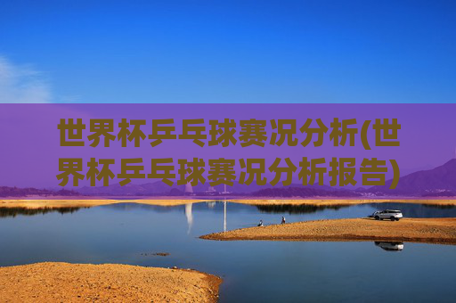 世界杯乒乓球赛况分析(世界杯乒乓球赛况分析报告)