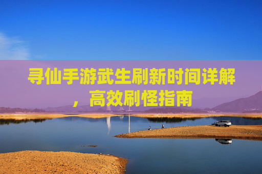 寻仙手游武生刷新时间详解,高效刷怪指南