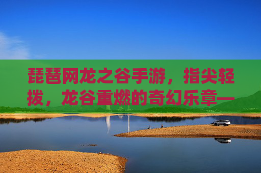 琵琶网龙之谷手游，指尖轻拨，龙谷重燃的奇幻乐章——传统乐器与经典IP的完美融合