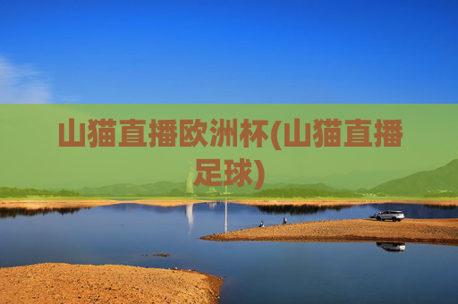 山猫直播欧洲杯(山猫直播足球)