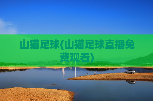 山猫足球(山猫足球直播免费观看)