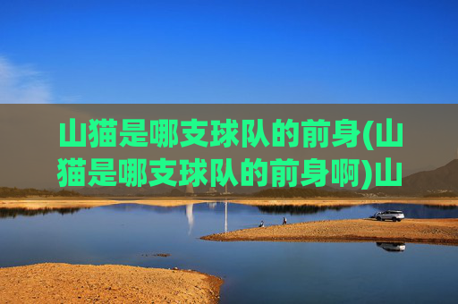 山猫是哪支球队的前身(山猫是哪支球队的前身啊)山猫是哪支球队的前身?