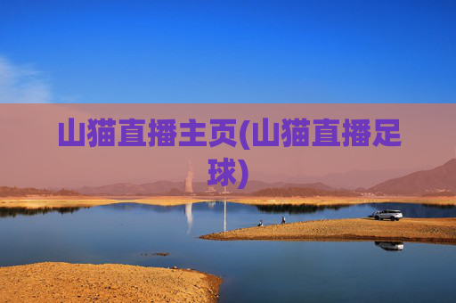 山猫直播主页(山猫直播足球)