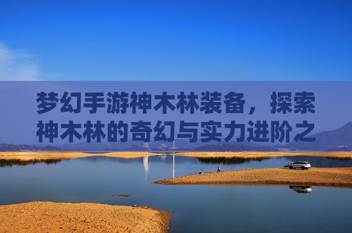 梦幻手游神木林装备,探索神木林的奇幻与实力进阶之路