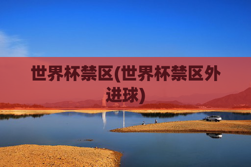 世界杯禁区(世界杯禁区外进球)