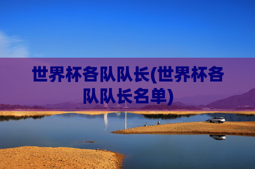 世界杯各队队长(世界杯各队队长名单)