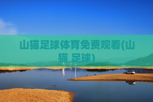 山猫足球体育免费观看(山猫 足球)