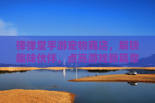 弹弹堂手游宠物商店，解锁趣味伙伴，点亮游戏新篇章