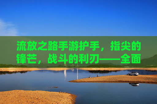 流放之路手游护手，指尖的锋芒，战斗的利刃——全面解析各类型护手属性与玩法，流放之路手游护手，指尖锋芒，战斗利刃——各类型属性与玩法全面解析