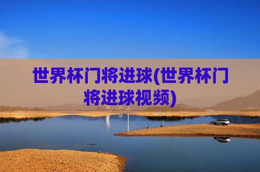 世界杯门将进球(世界杯门将进球视频)