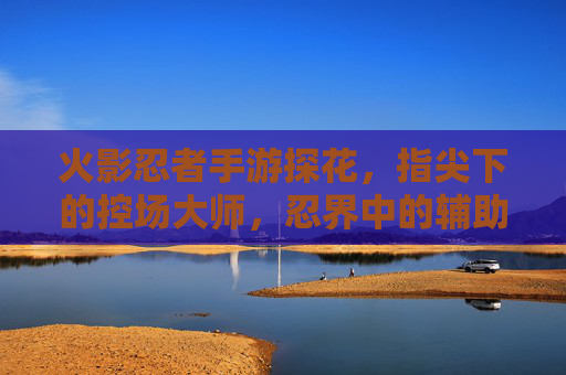 火影忍者手游探花，指尖下的控场大师，忍界中的辅助传奇，火影忍者手游探花，指尖控场大师，忍界辅助传奇