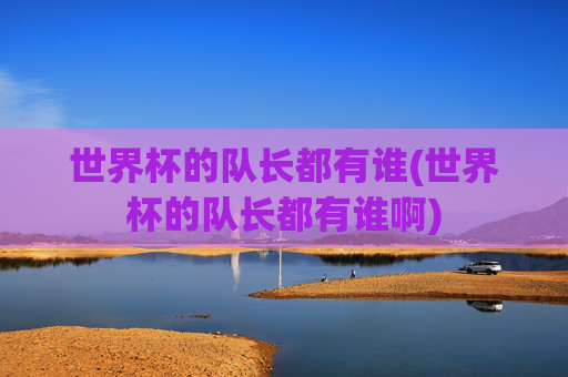 世界杯的队长都有谁(世界杯的队长都有谁啊)