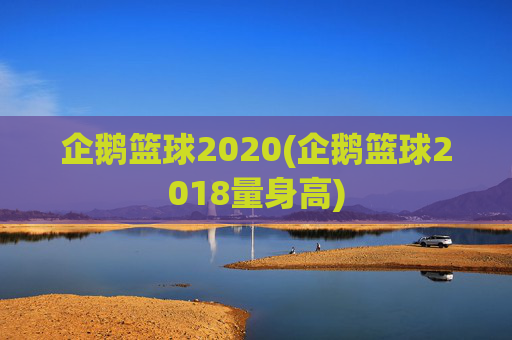 企鹅篮球2020(企鹅篮球2018量身高)