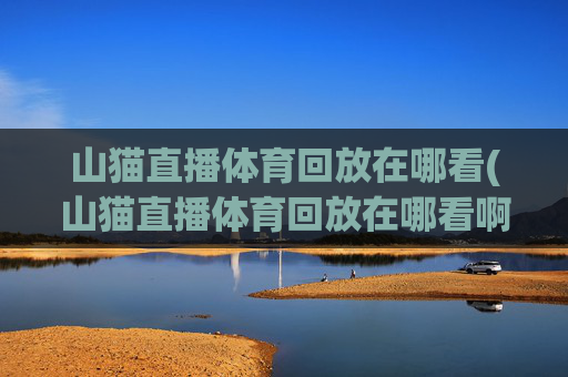 山猫直播体育回放在哪看(山猫直播体育回放在哪看啊)
