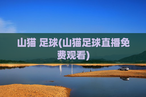山猫 足球(山猫足球直播免费观看)