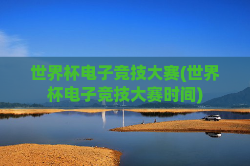 世界杯电子竞技大赛(世界杯电子竞技大赛时间)
