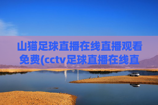 山猫足球直播在线直播观看免费(cctv足球直播在线直播观看免费)
