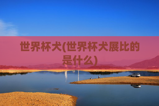 世界杯犬(世界杯犬展比的是什么)
