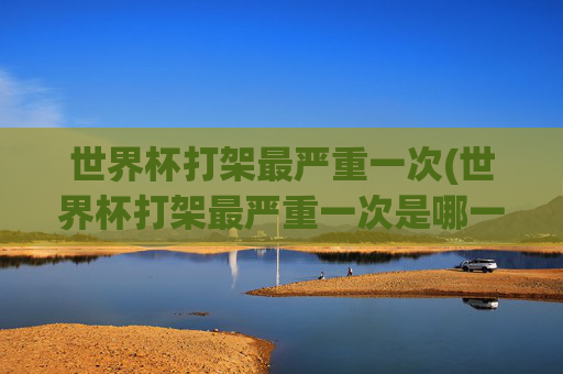 世界杯打架最严重一次(世界杯打架最严重一次是哪一年)