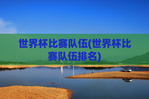 世界杯比赛队伍(世界杯比赛队伍排名)