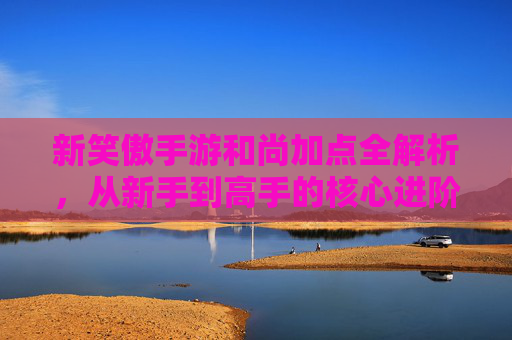 新笑傲手游和尚加点全解析,从新手到高手的核心进阶指南