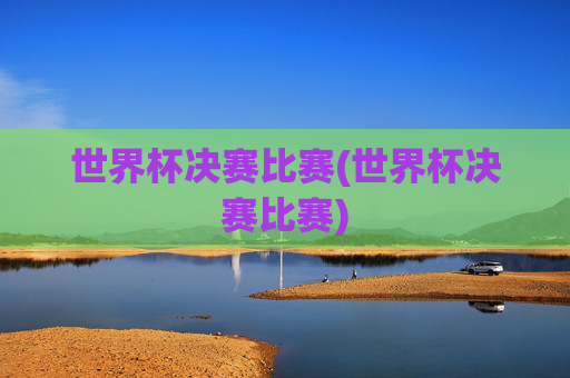 世界杯决赛比赛(世界杯决赛比赛)