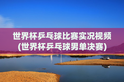 世界杯乒乓球比赛实况视频(世界杯乒乓球男单决赛)