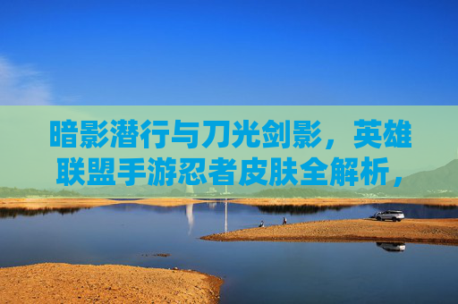 暗影潜行与刀光剑影，英雄联盟手游忍者皮肤全解析，带你体验指尖上的忍术对决