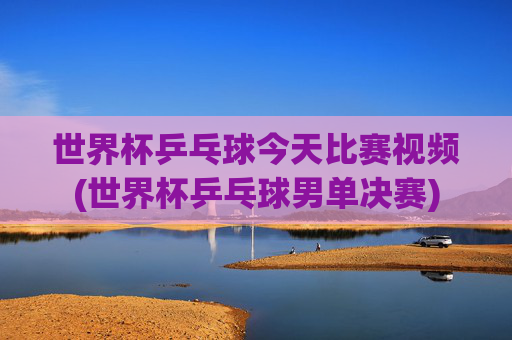 世界杯乒乓球今天比赛视频(世界杯乒乓球男单决赛)