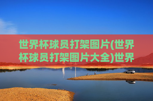 世界杯球员打架图片(世界杯球员打架图片大全)世界杯球员打架图片大全,经典瞬间与完整集锦