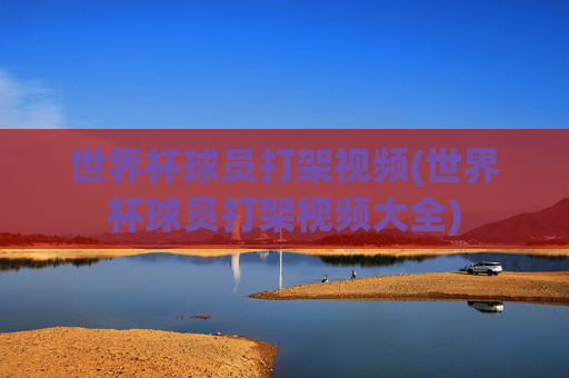 世界杯球员打架视频(世界杯球员打架视频大全)