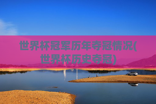 世界杯冠军历年夺冠情况(世界杯历史夺冠)