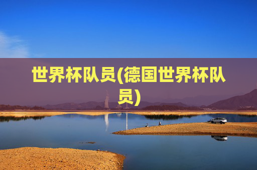 世界杯队员(德国世界杯队员)
