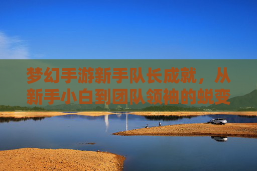梦幻手游新手队长成就,从新手小白到团队领袖的蜕变之旅