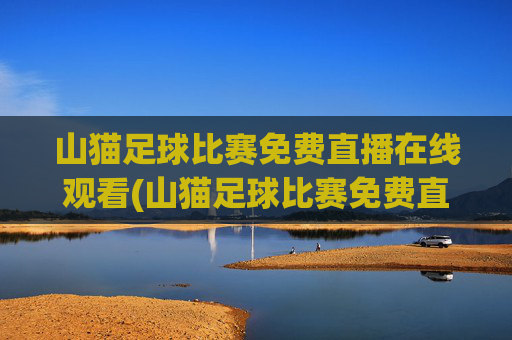 山猫足球比赛免费直播在线观看(山猫足球比赛免费直播在线观看视频)