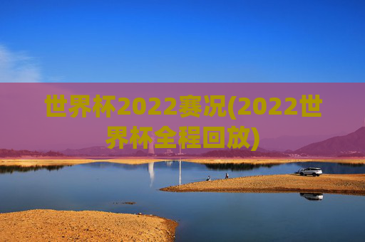 世界杯2022赛况(2022世界杯全程回放)