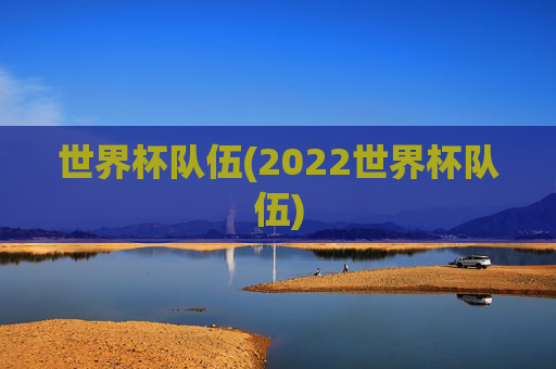 世界杯队伍(2022世界杯队伍)