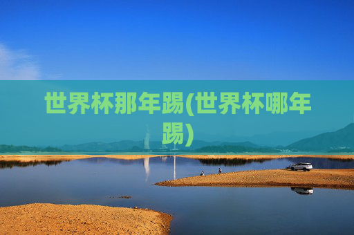 世界杯那年踢(世界杯哪年踢)