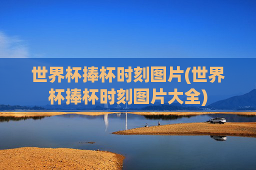 世界杯捧杯时刻图片(世界杯捧杯时刻图片大全)