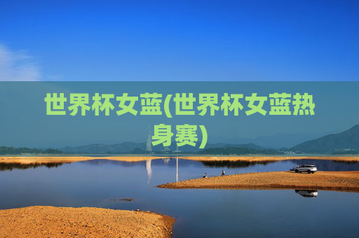 世界杯女蓝(世界杯女蓝热身赛)