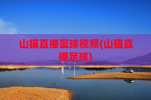 山猫直播蓝球视频(山猫直播足球)