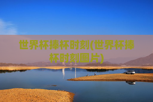 世界杯捧杯时刻(世界杯捧杯时刻图片)