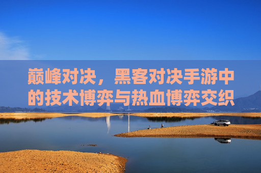 巅峰对决,黑客对决手游中的技术博弈与热血博弈交织,巅峰对决,黑客对决手游中的技术博弈与热血博弈交织