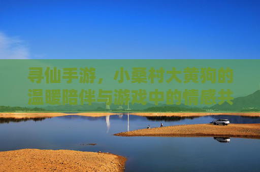 寻仙手游，小桑村大黄狗的温暖陪伴与游戏中的情感共鸣，寻仙手游，小桑村大黄狗的温暖陪伴与游戏中的情感共鸣