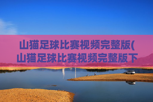 山猫足球比赛视频完整版(山猫足球比赛视频完整版下载)