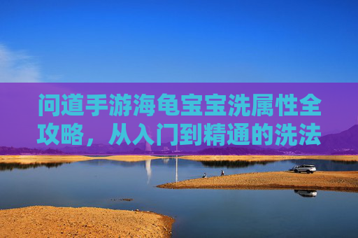问道手游海龟宝宝洗属性全攻略,从入门到精通的洗法技巧,问道手游海龟宝宝洗属性全攻略,从入门到精通的洗法技巧